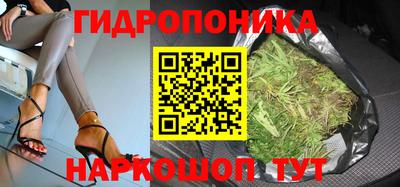 мдпв Заводоуковск