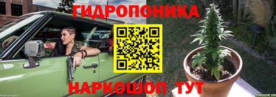 спиды Заволжье