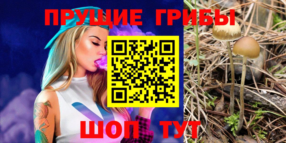 Псилоцибиновые грибы мухоморы  Вход с VPN  Заинск  Галлюциногенные грибы Psilocybe 
